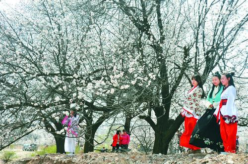 833直播比赛在线 · 高清直播多屏互动